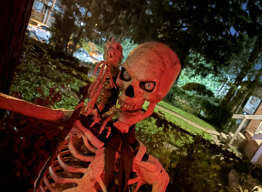 Ultraposeable skeleton and friend